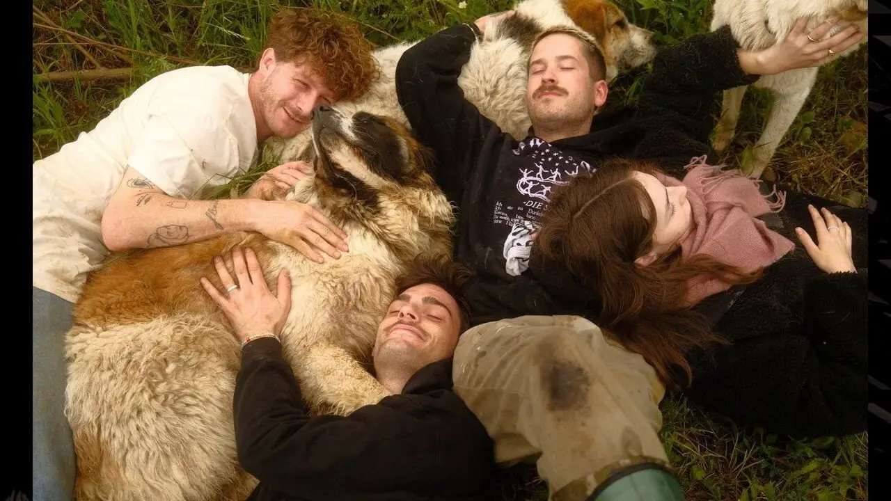 Animal Bridge - Every soul needs a home backdrop