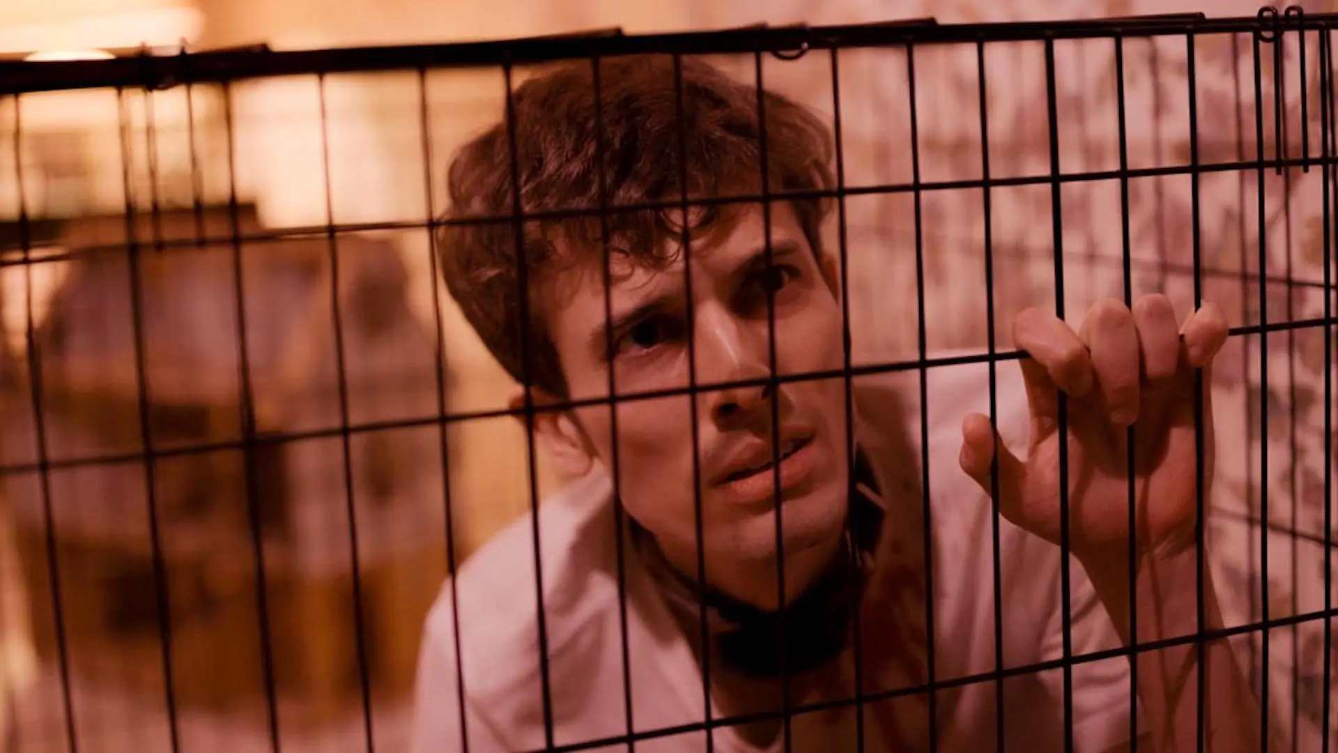 Voices Carry backdrop