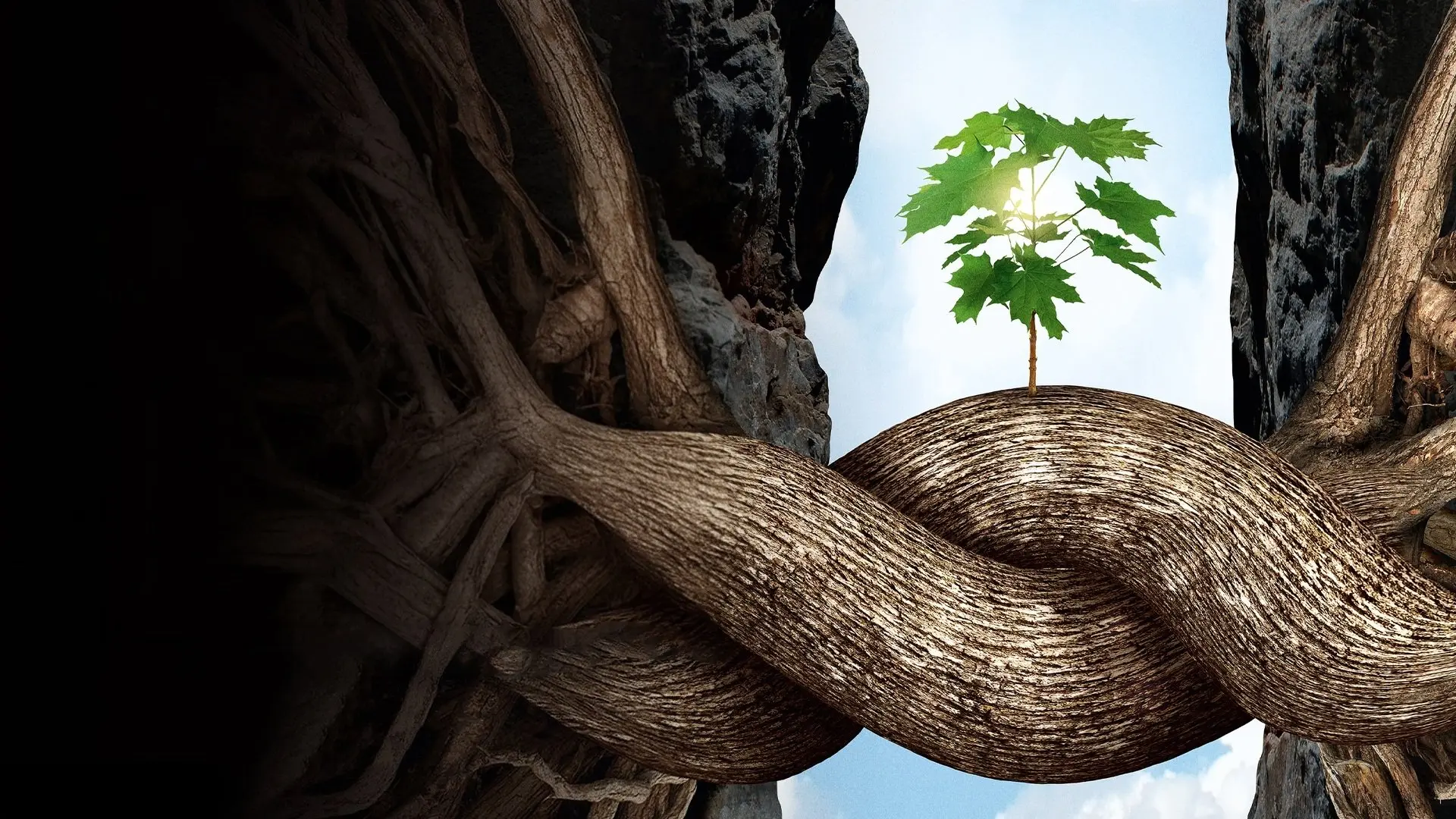 Intelligent Trees backdrop