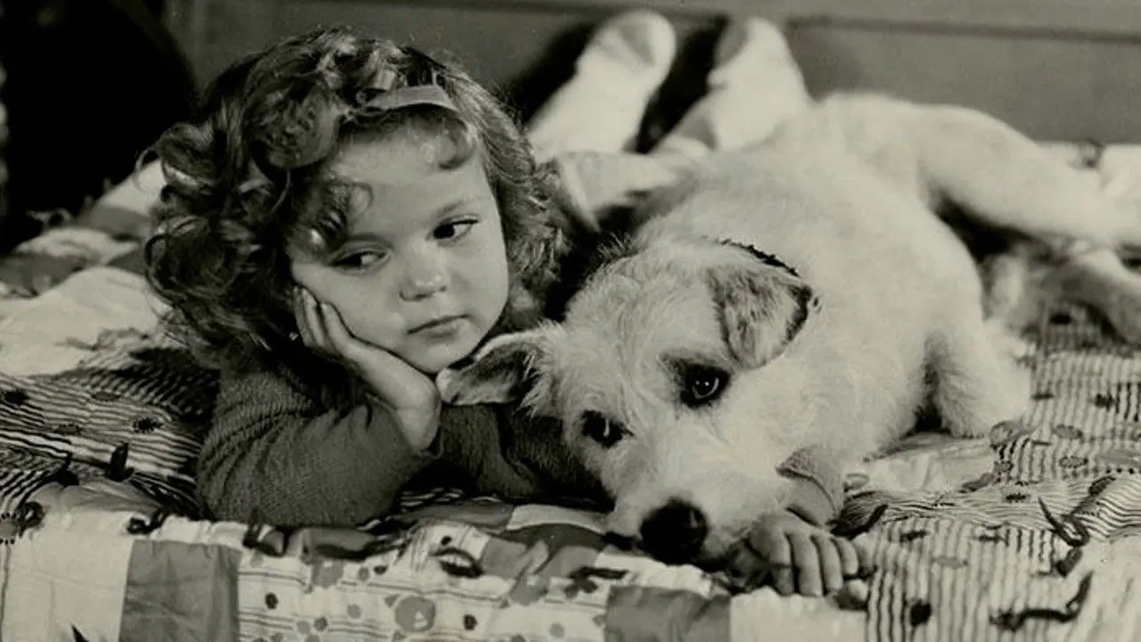 Merrily Yours backdrop