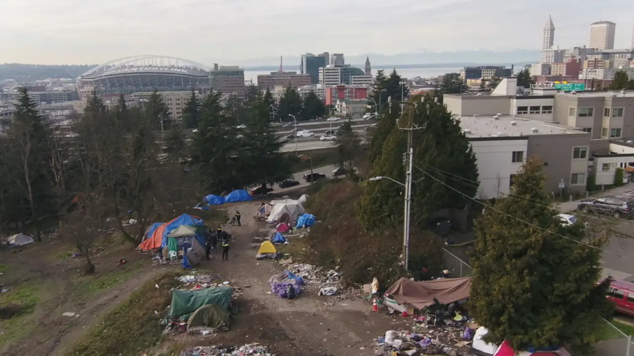 Seattle is Dying backdrop