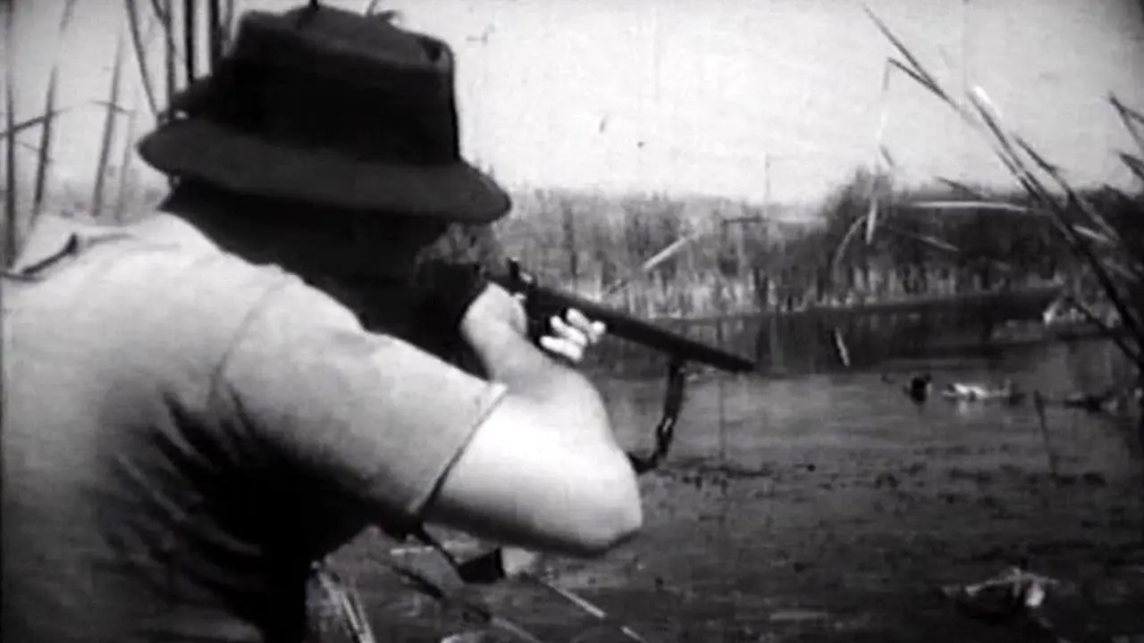 Flight Above the Marshes backdrop