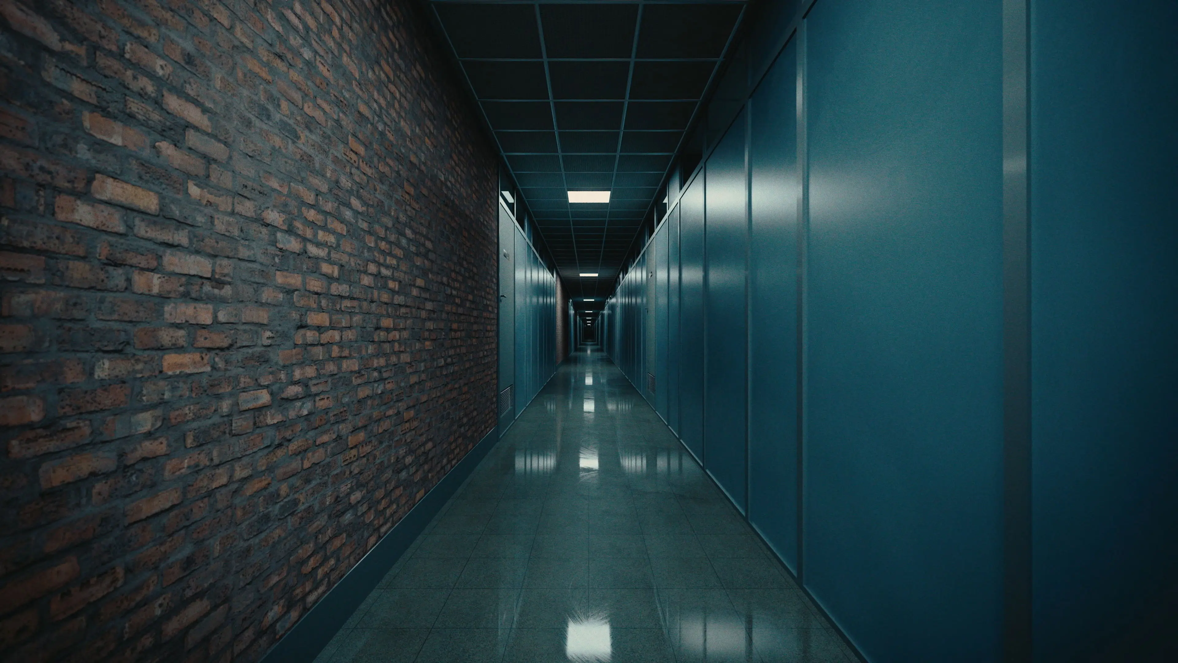 The Good Canadian backdrop