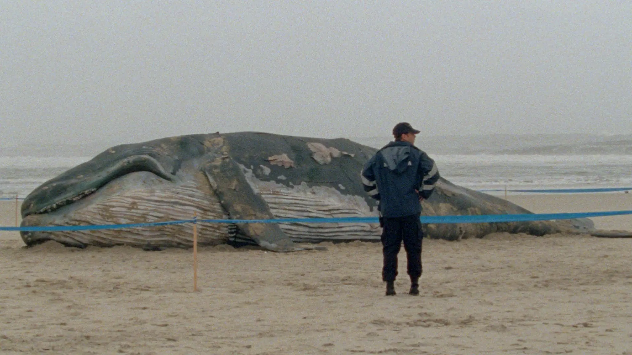 Arabian Nights: Volume 1, The Restless One backdrop