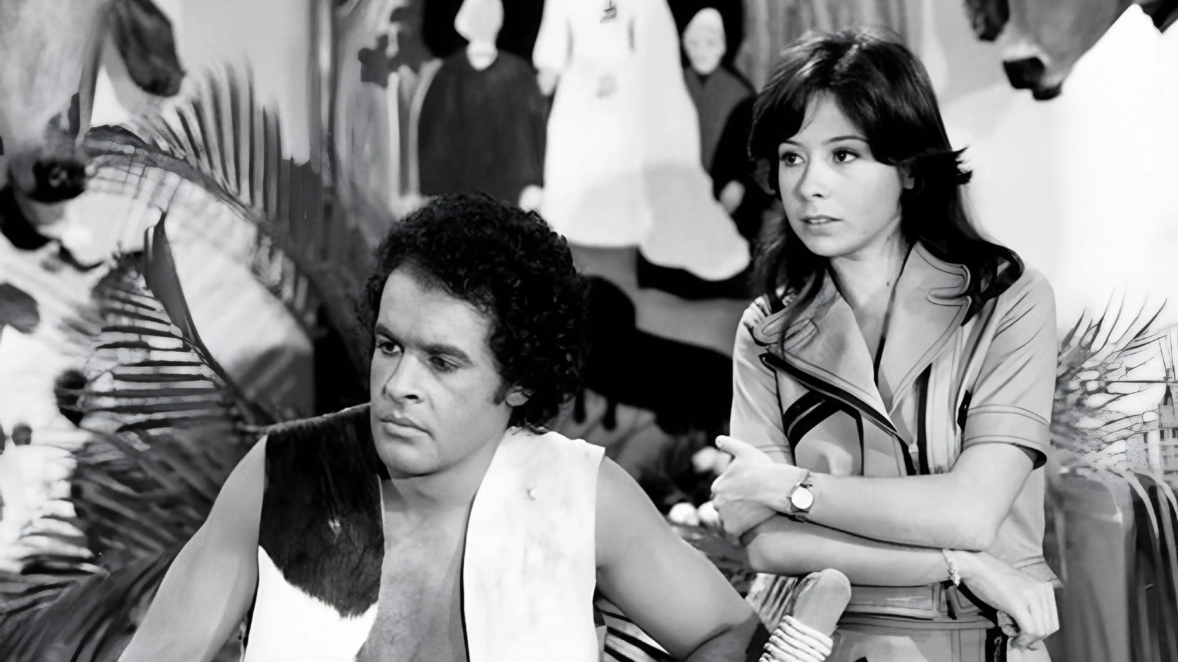 Bicho do Mato backdrop