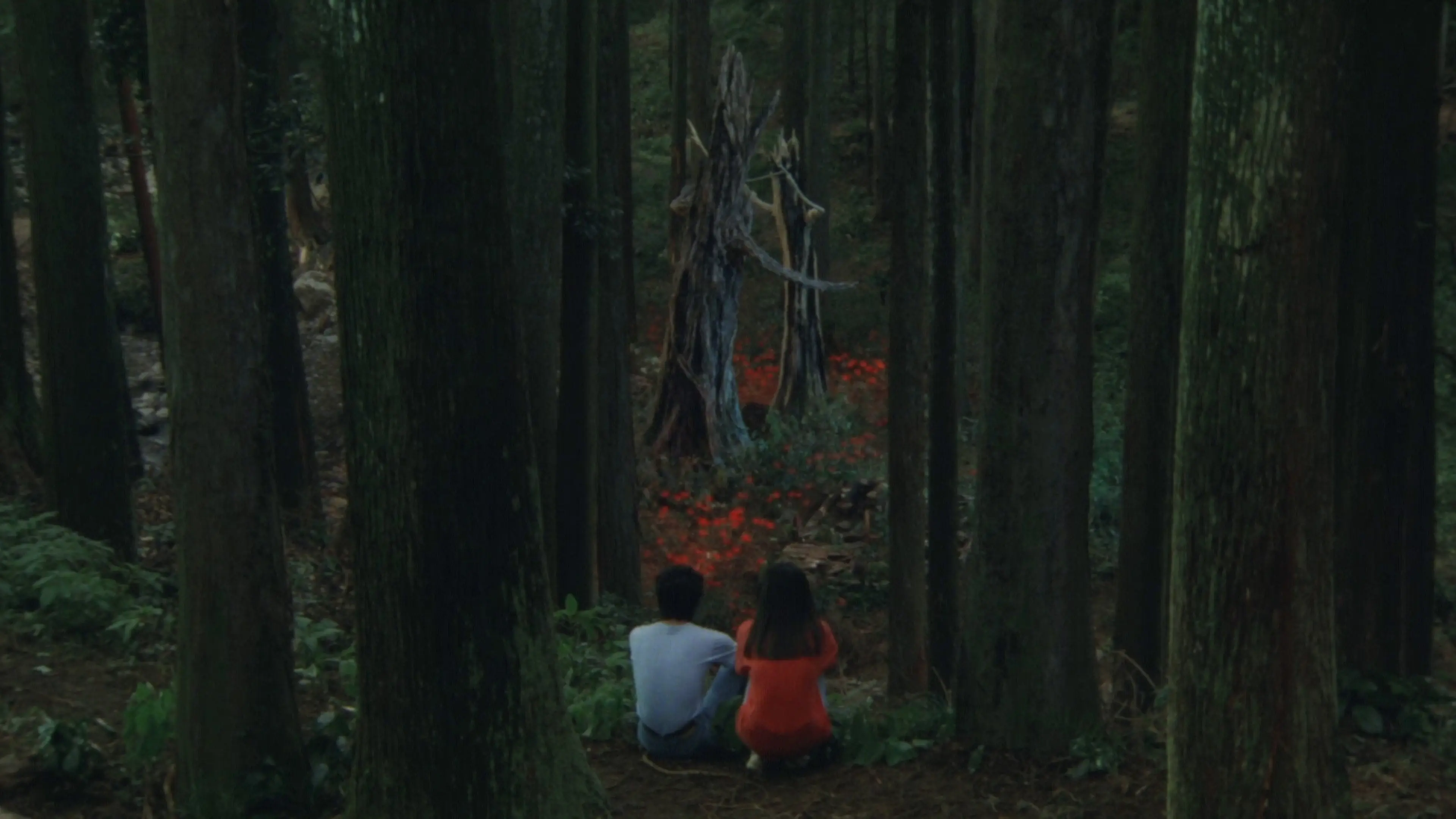 Rhapsody in August backdrop