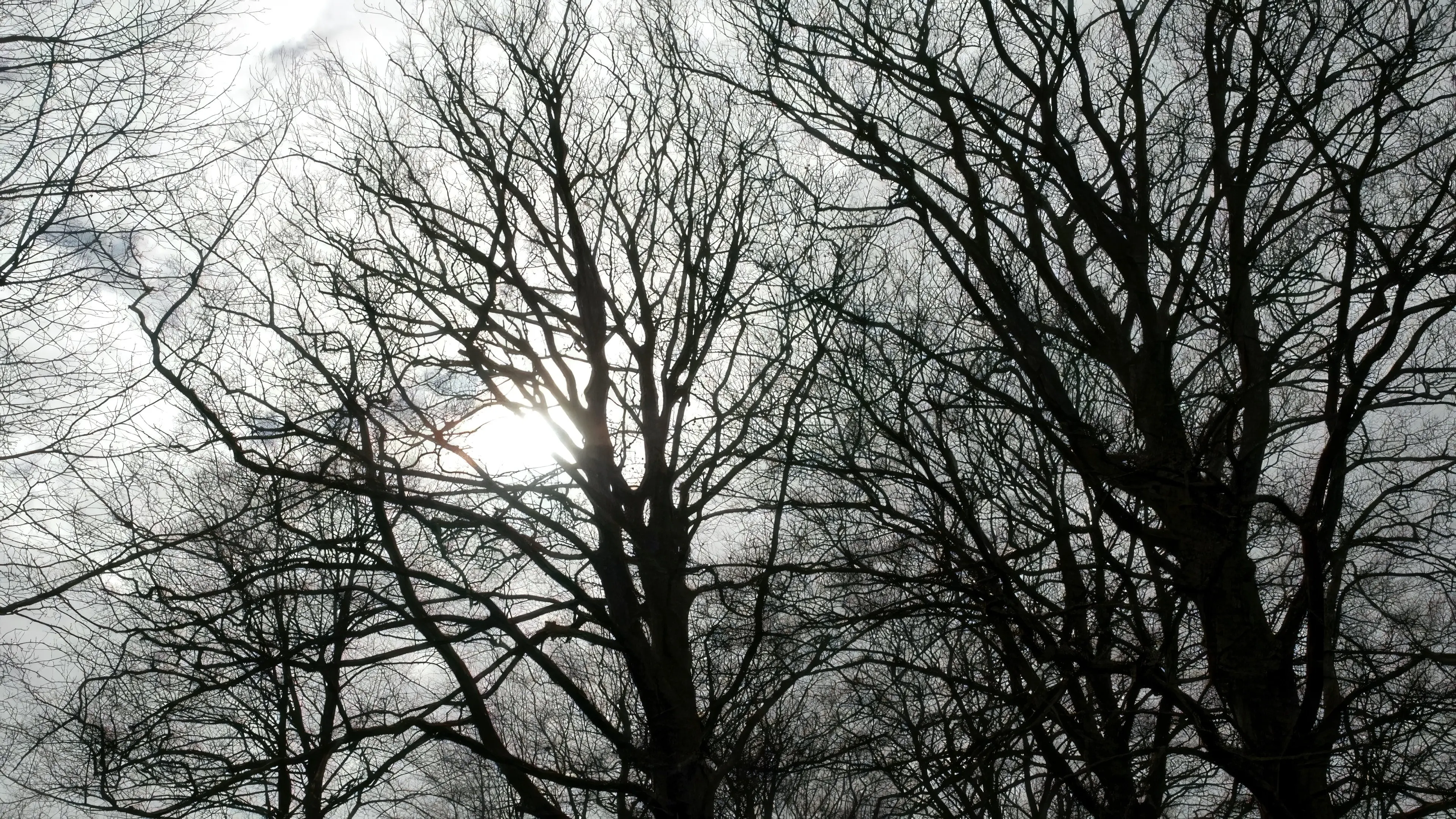 Tales from the Darkside backdrop