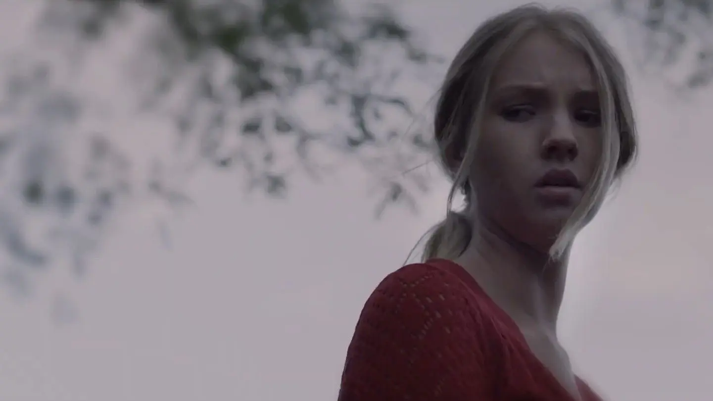 Graduation Afternoon backdrop