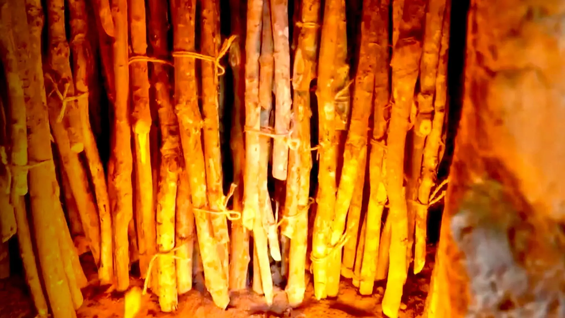 A Culture Built with Wood backdrop