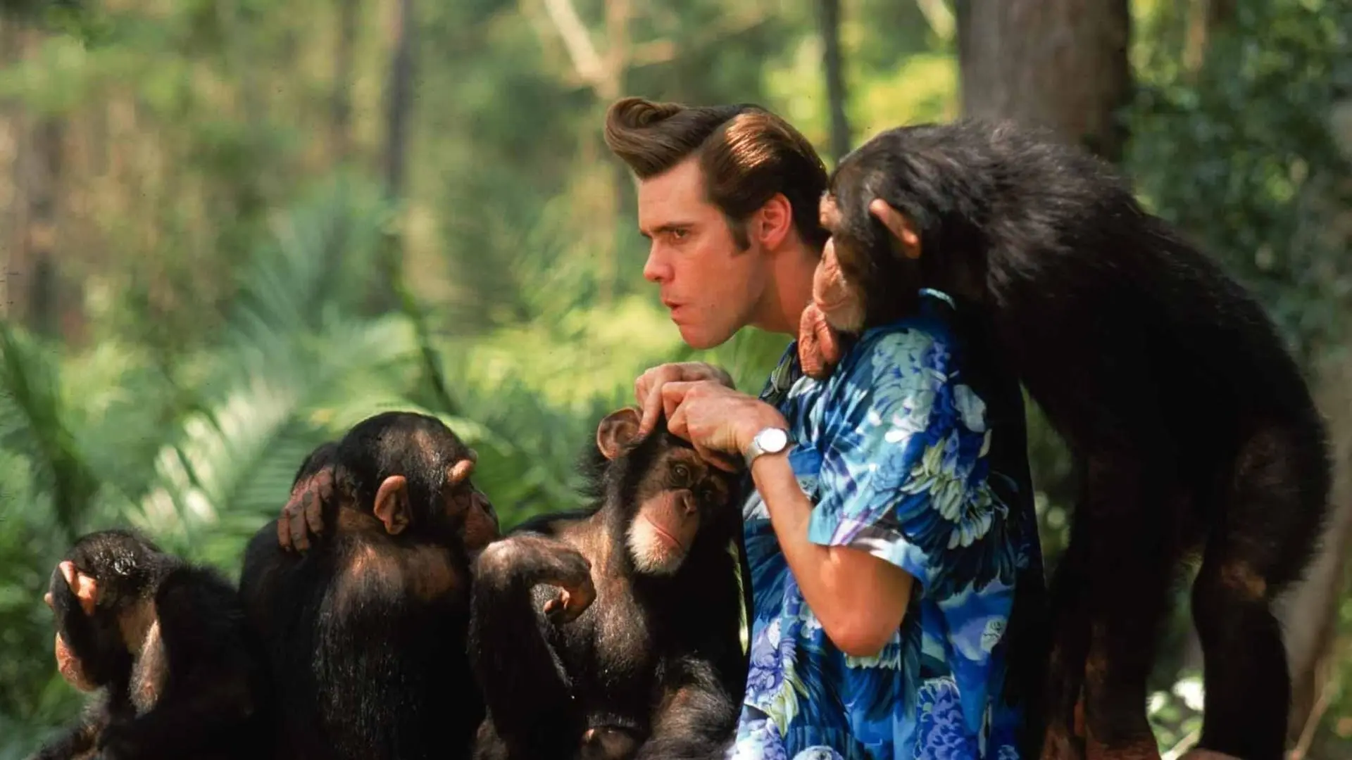 Ace Ventura: When Nature Calls backdrop