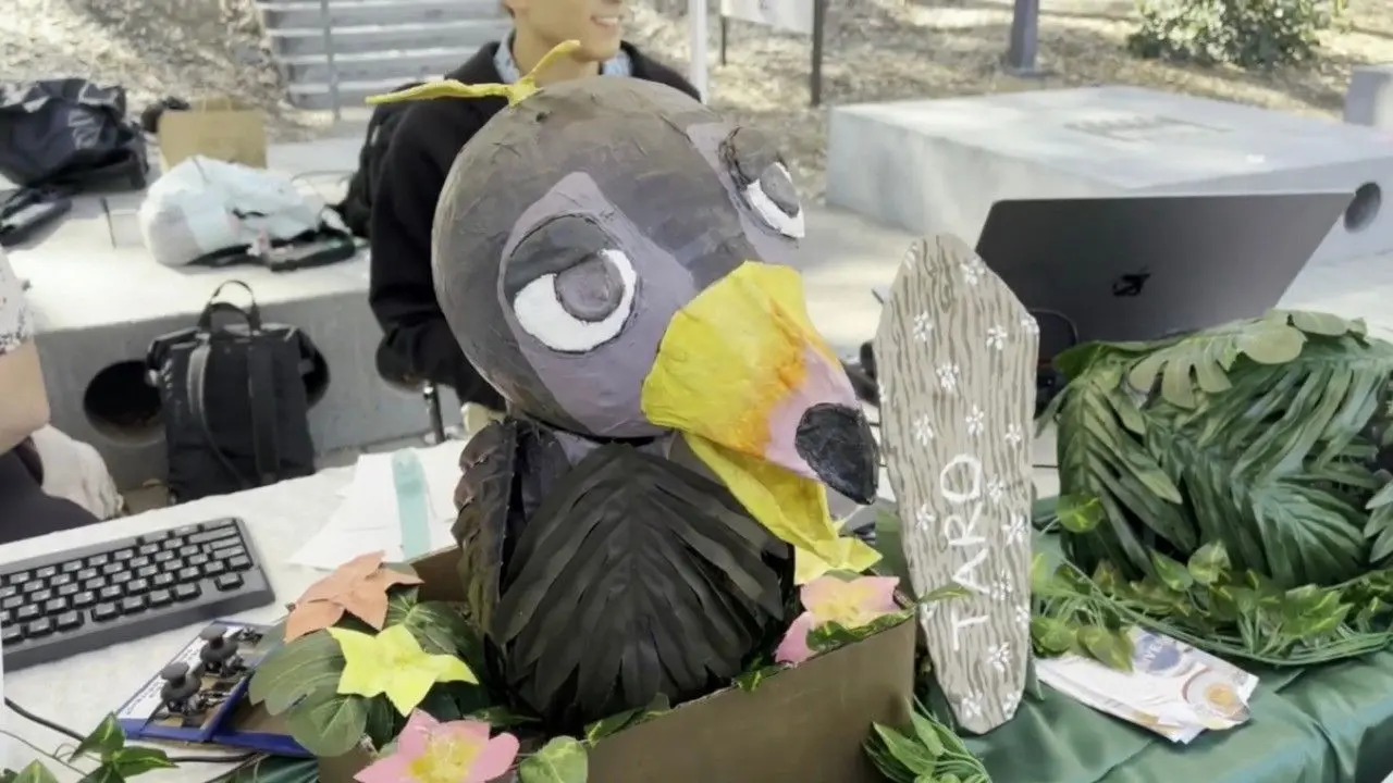 Making Taro Talk: A Documentary backdrop