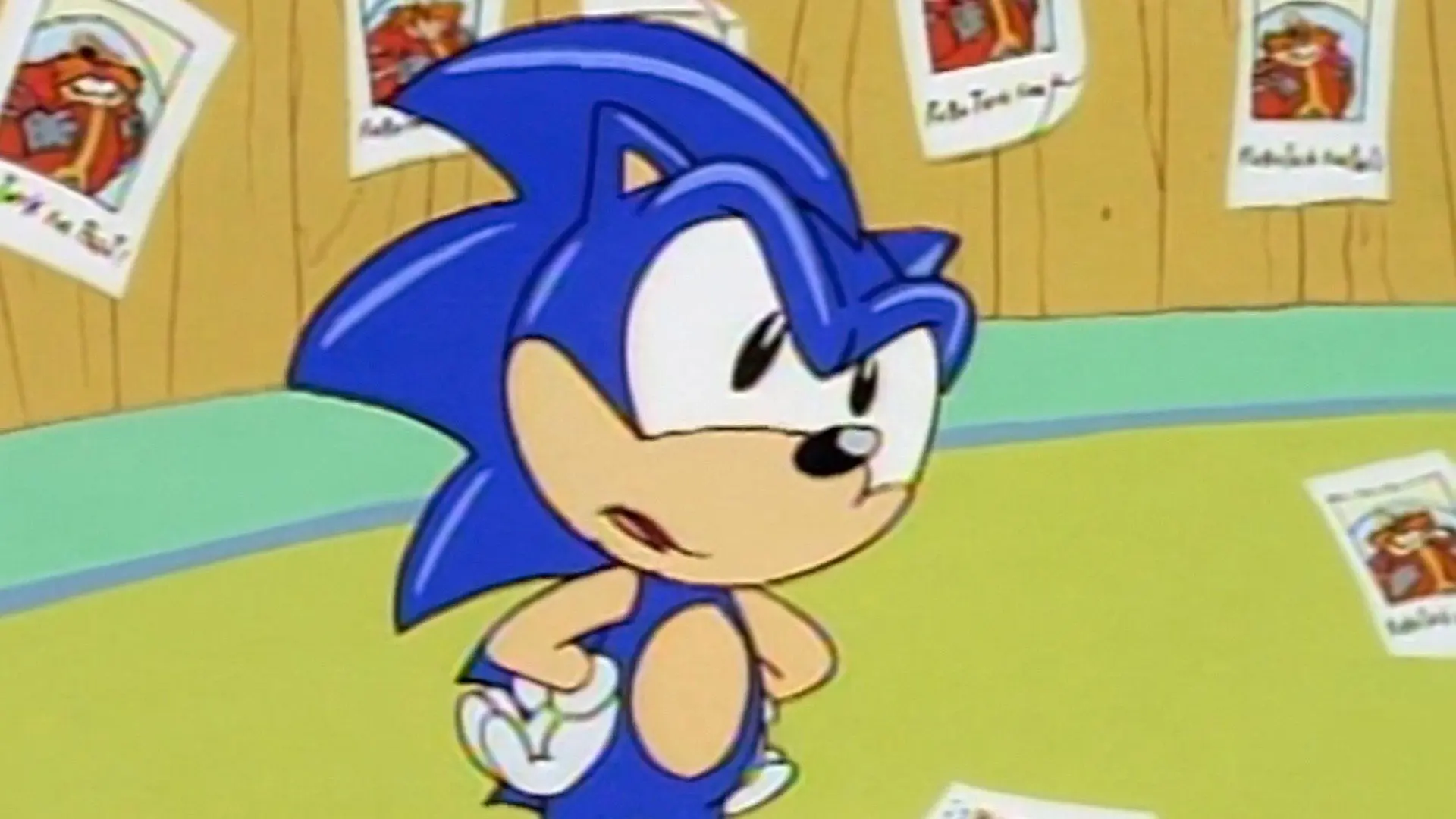 Adventures of Sonic the Hedgehog: Quest for the Chaos Emeralds backdrop