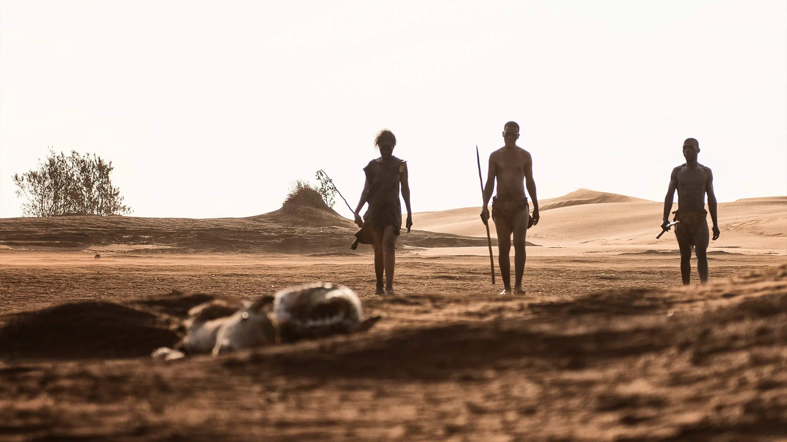 First Peoples backdrop