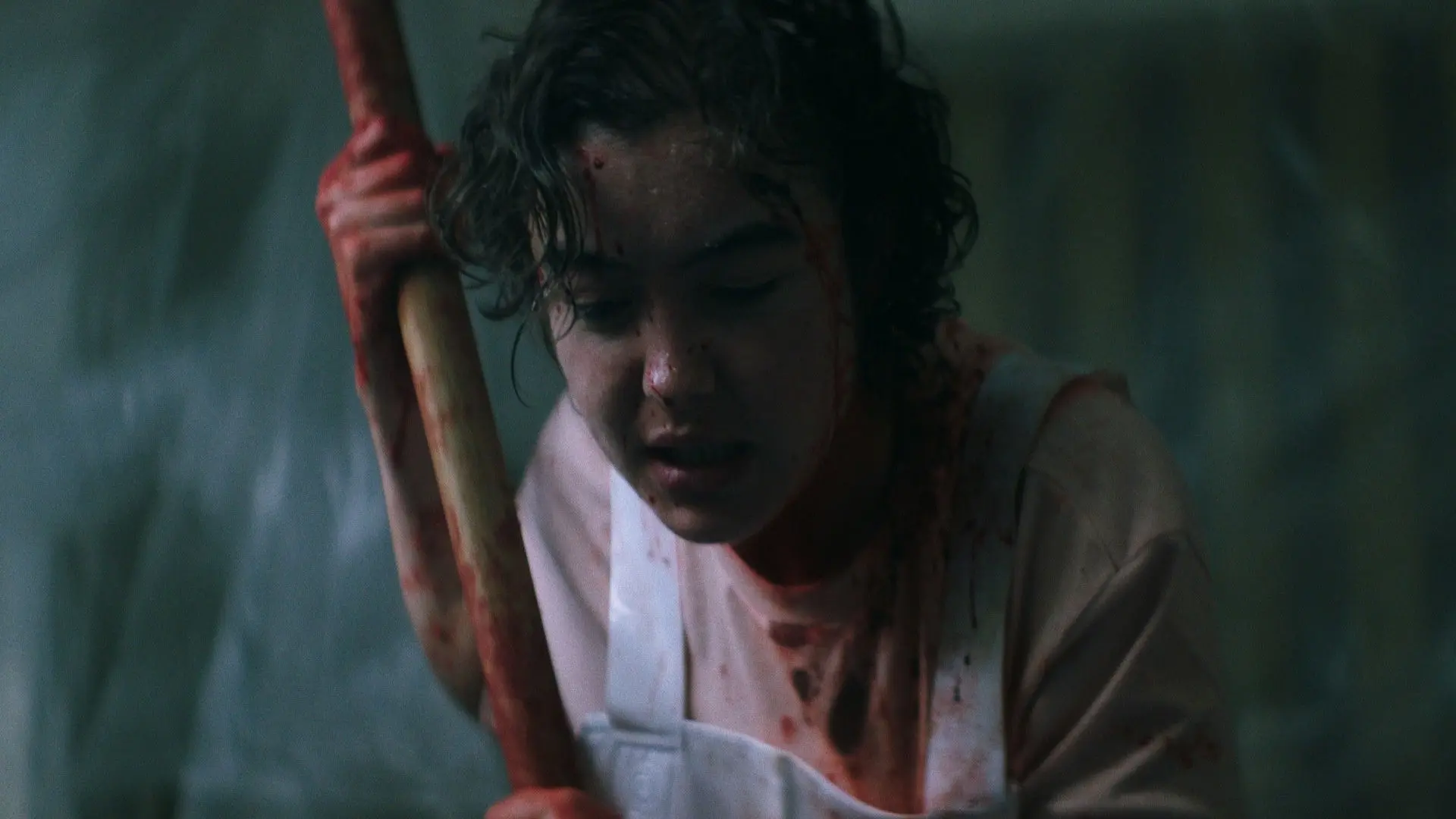 The Classmate backdrop