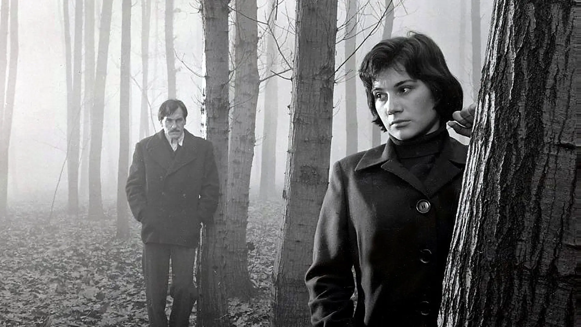 We Were Young backdrop