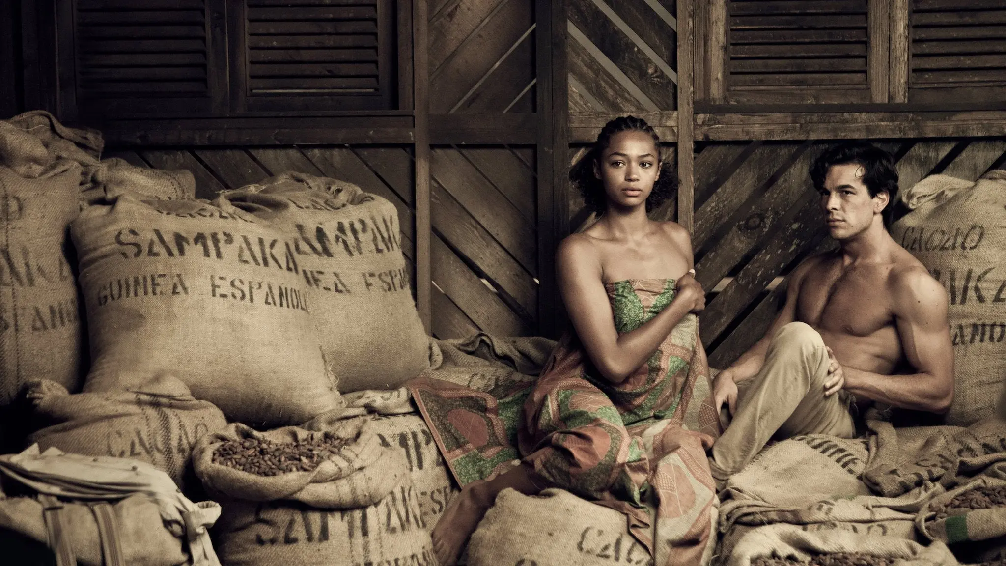 Palm Trees in the Snow backdrop