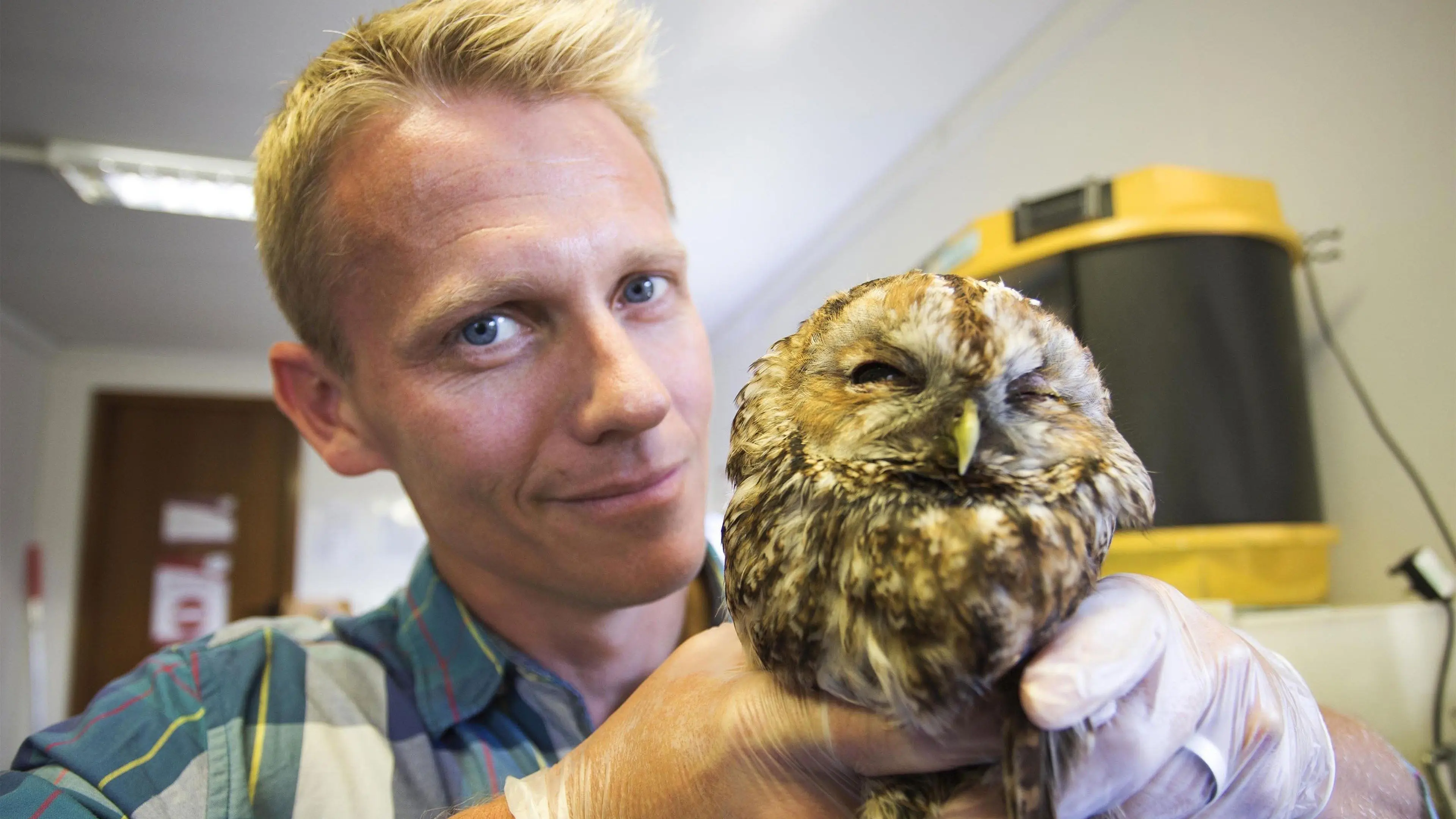 The Great Dr. Scott backdrop