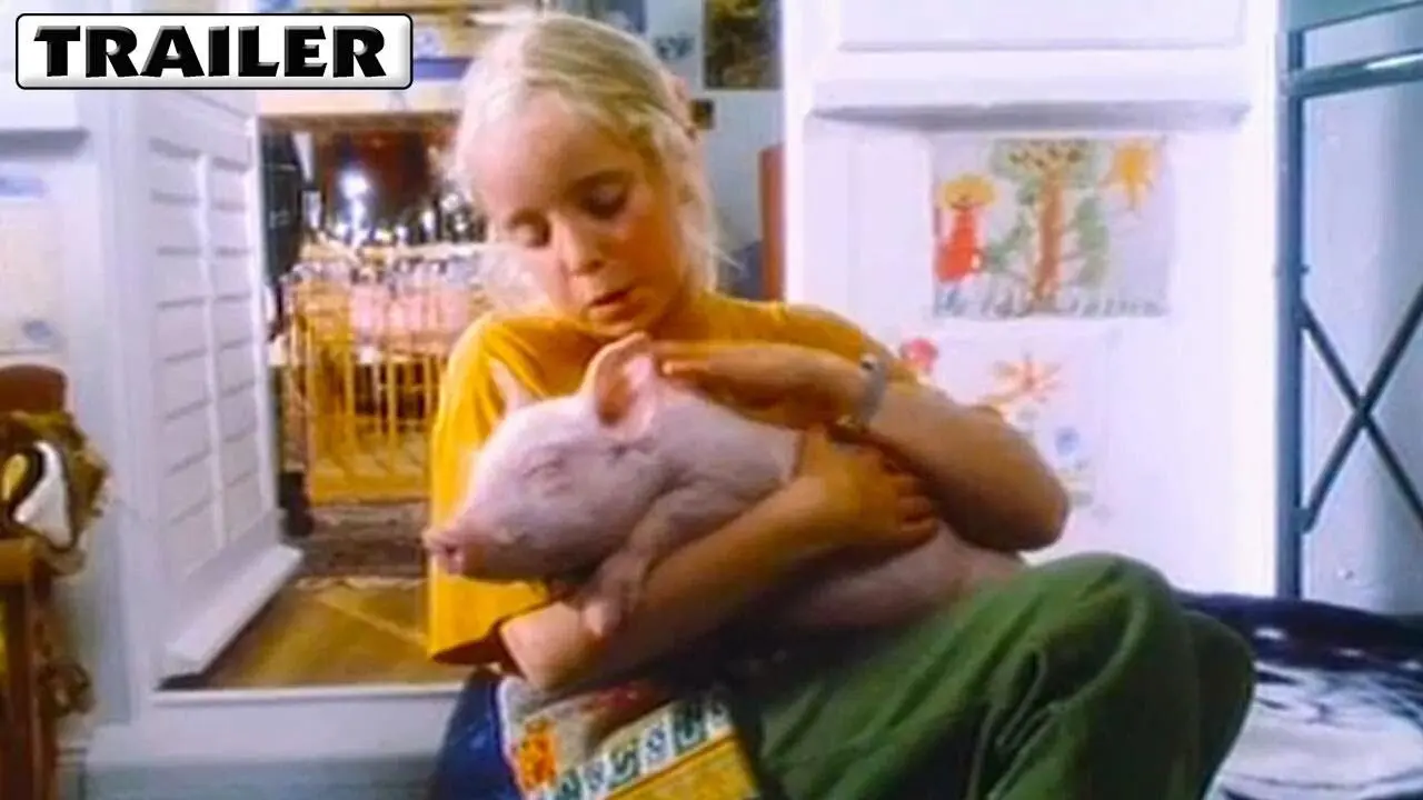 Rudy, the Racing Pig backdrop