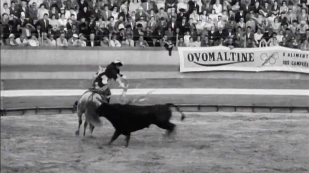 Born to Fight backdrop