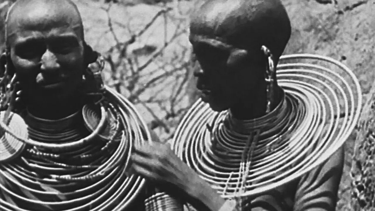 Africa Speaks! backdrop