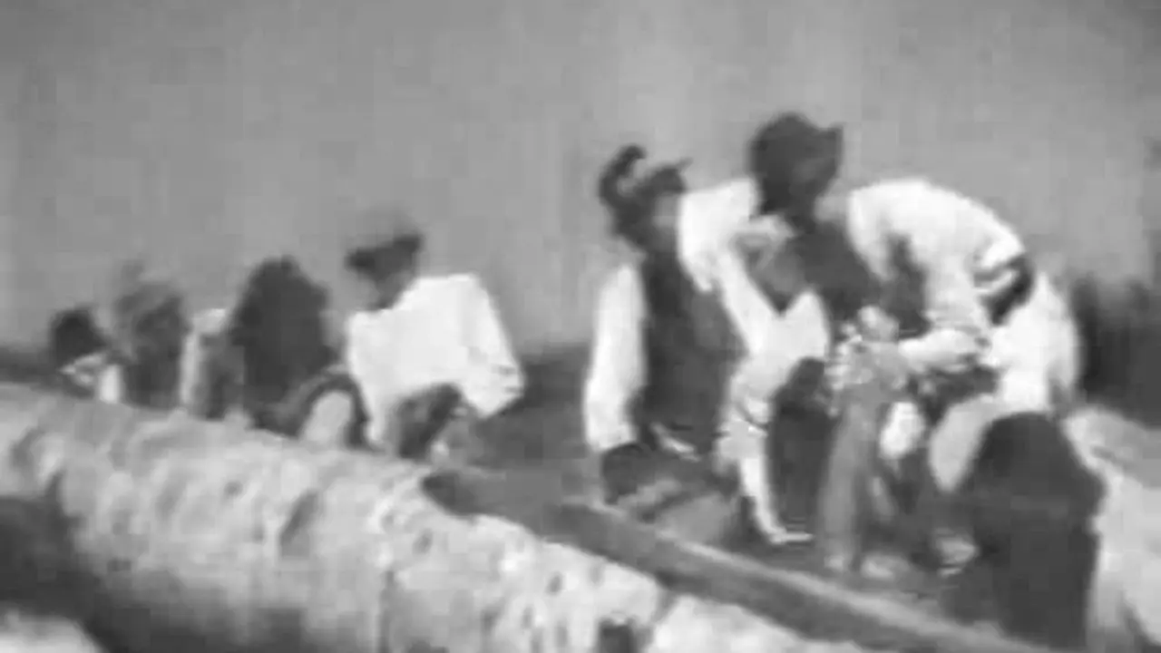 Bukovyna, Ukrainian Land backdrop