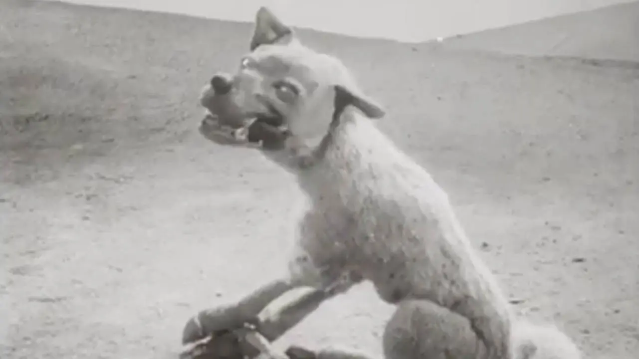 The Wolf and the Crane backdrop