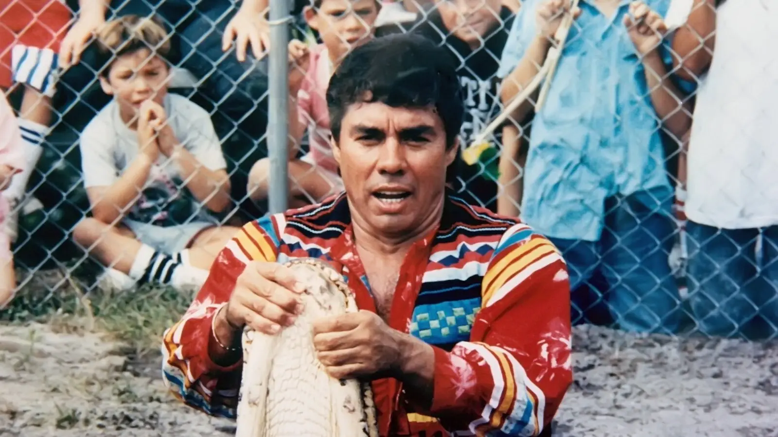 Wrestling Alligators backdrop
