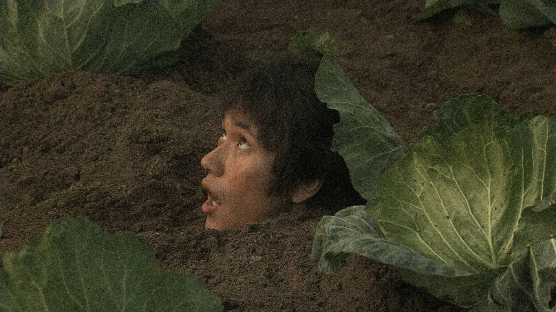 Bare Essence of Life backdrop