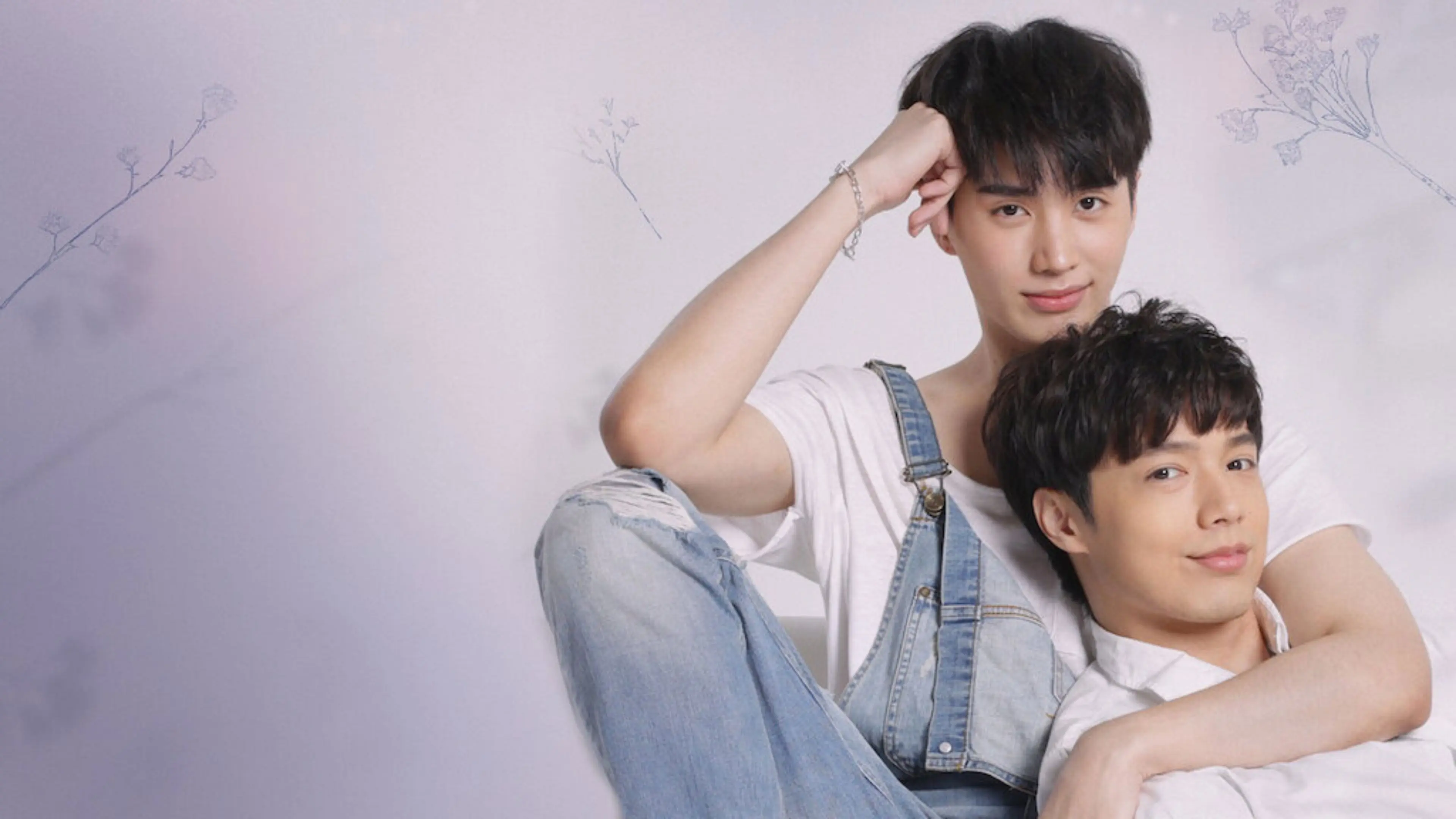 The Miracle of Teddy Bear backdrop