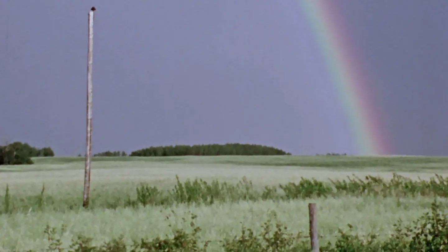 We're Here to Stay backdrop