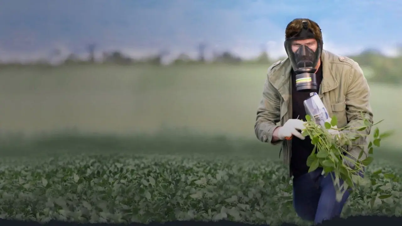 Green Warriors backdrop