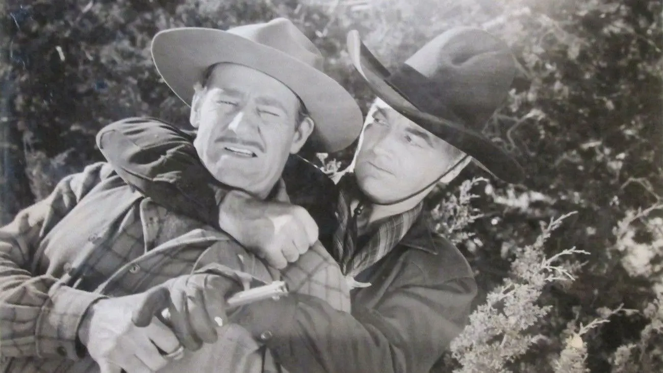 Hidden Gold backdrop