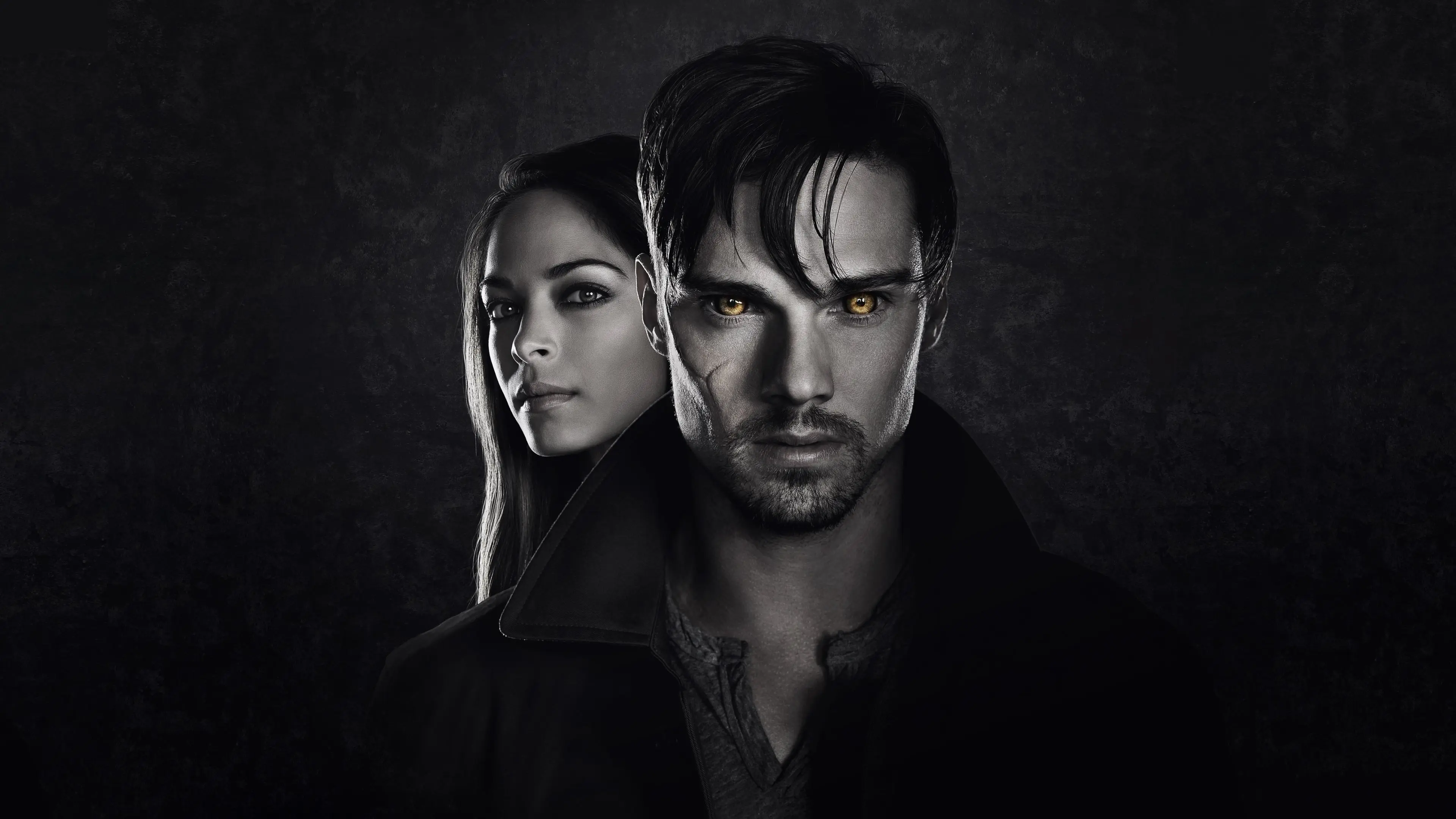 Beauty and the Beast backdrop