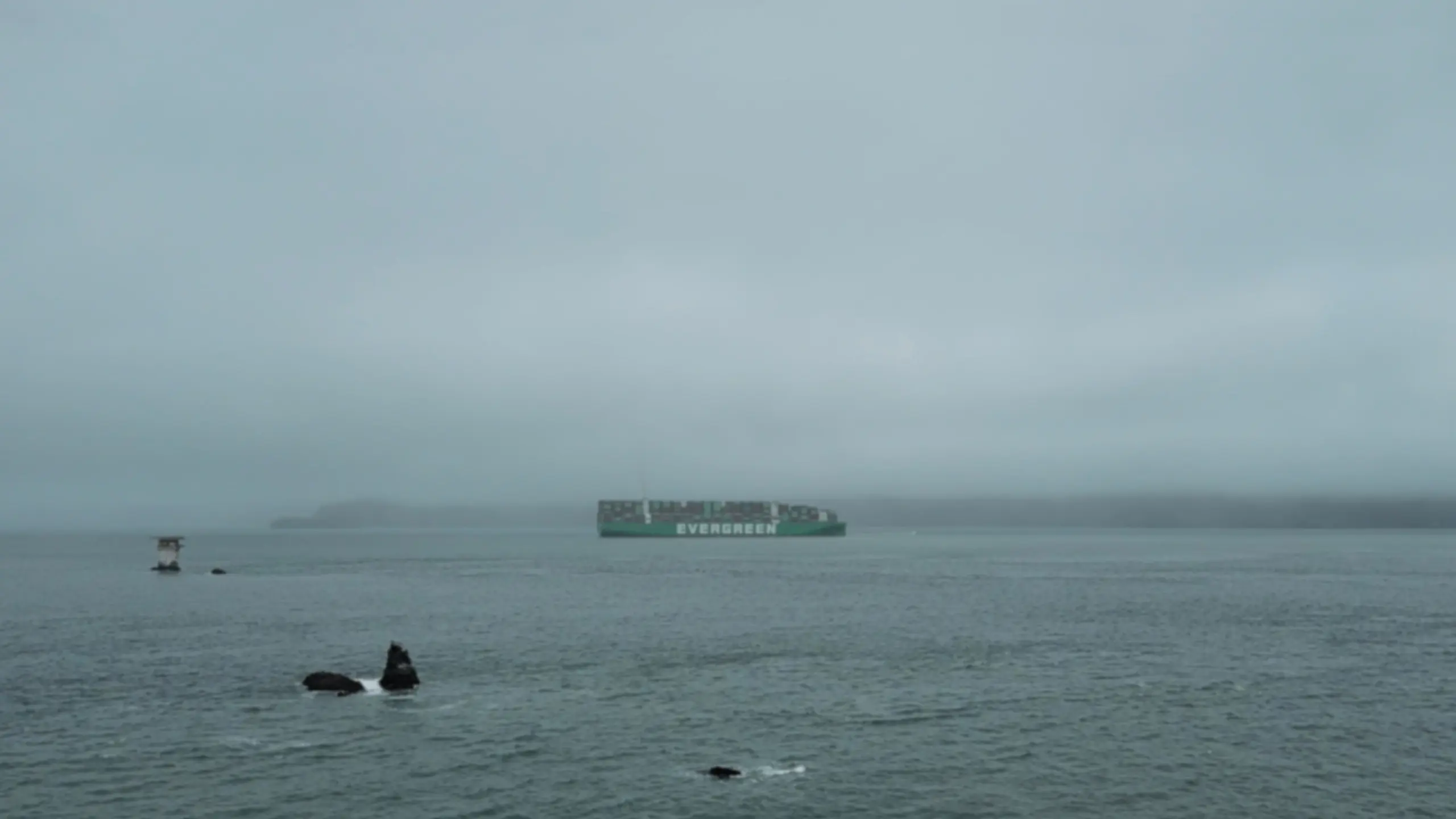 Milestone No. 3 backdrop