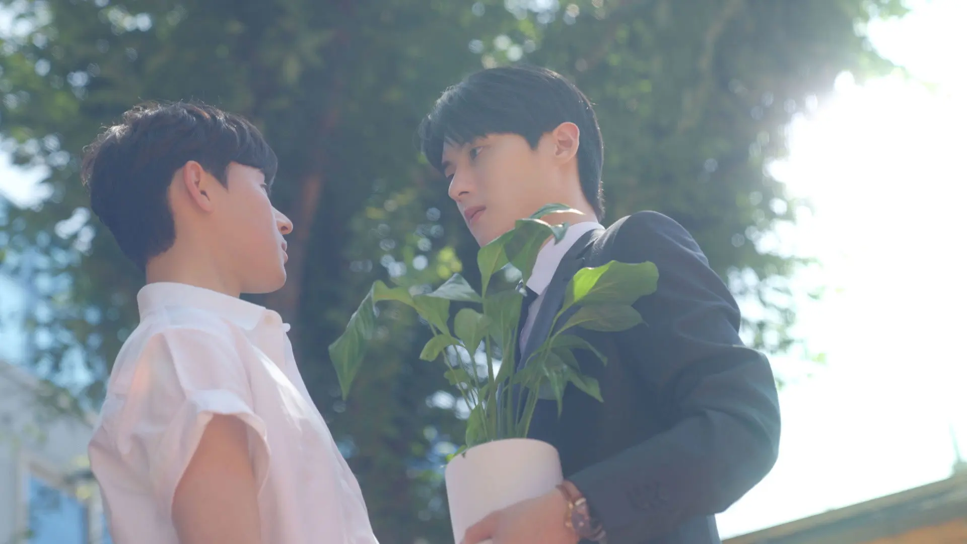 Kiss Kiss Sxx backdrop