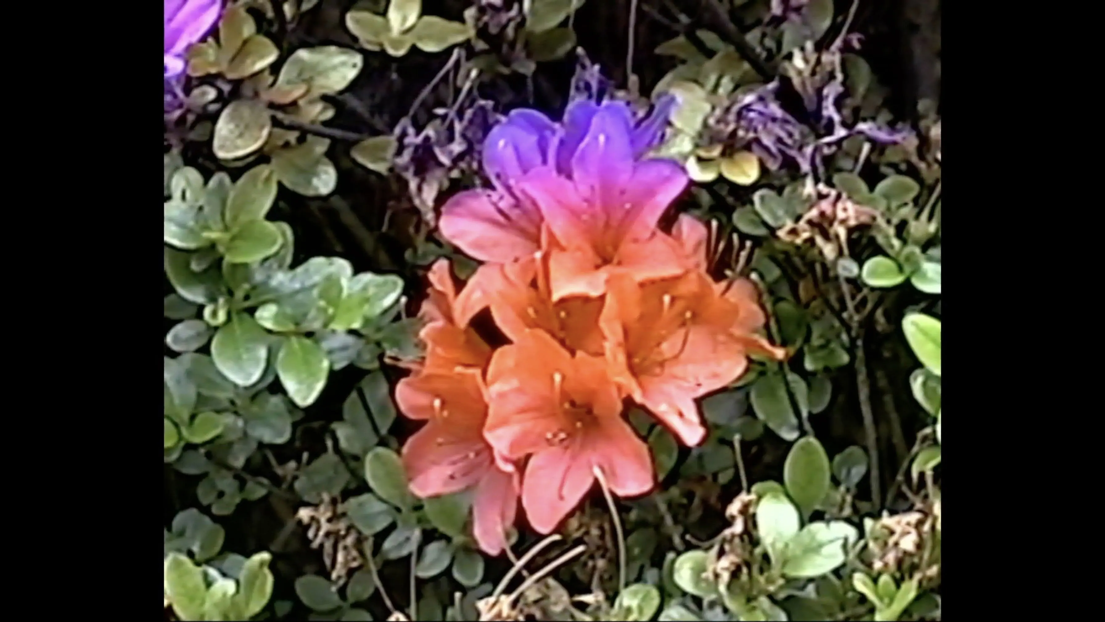 memory consolidation 01 backdrop