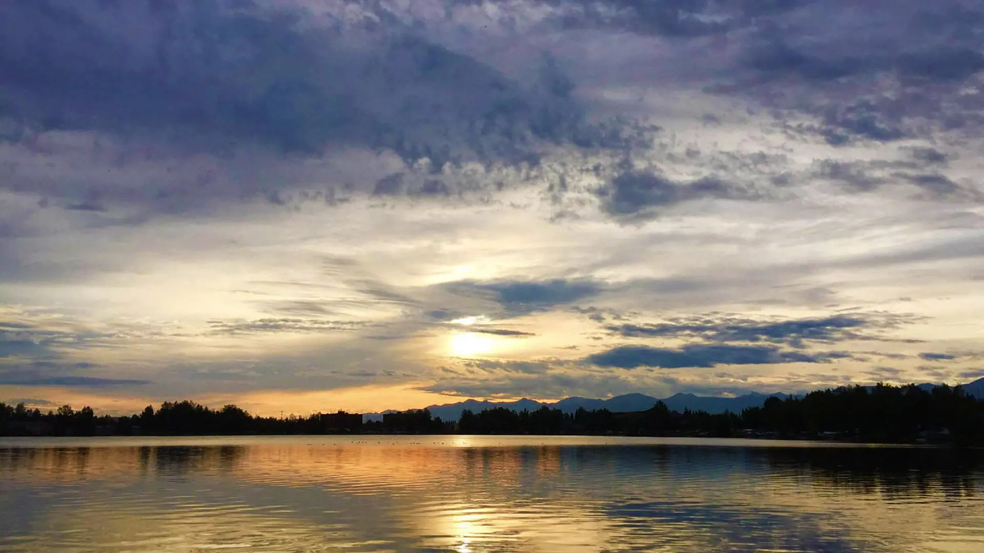 Wild Alaska Live backdrop